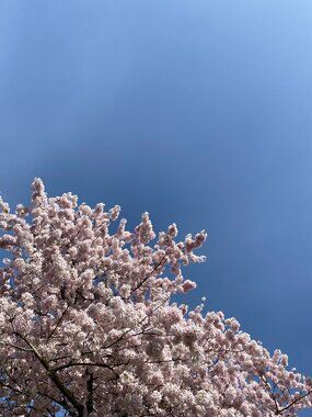 Meet your Posher, Eva